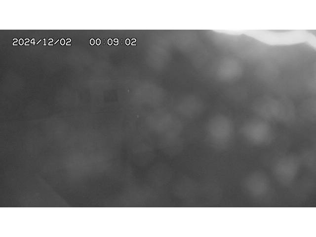 東郷ダム１（下流）2025/12/02 11:30:00