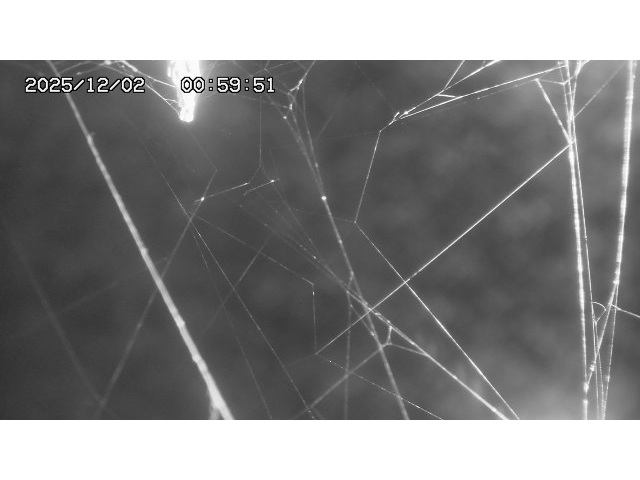 東郷ダム１（下流）2025/12/02 11:30:00