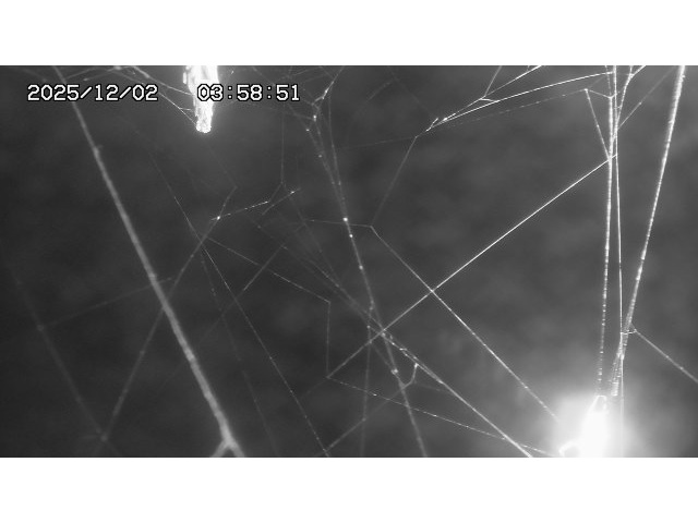 東郷ダム１（下流）2025/12/02 11:30:00