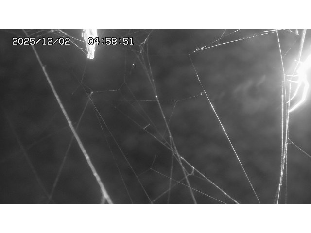 東郷ダム１（下流）2025/12/02 11:30:00