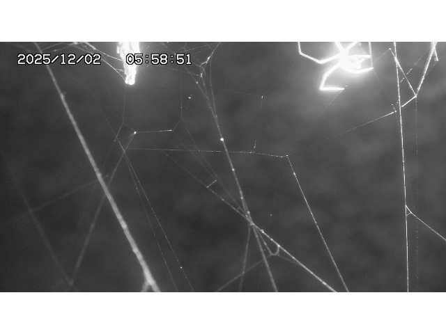 東郷ダム１（下流）2025/12/02 11:30:00