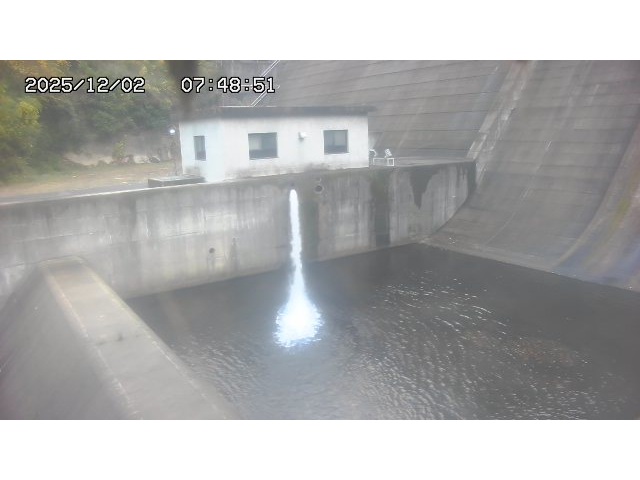 東郷ダム１（下流）2025/12/02 11:30:00