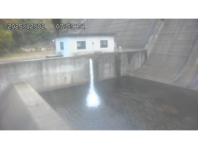 東郷ダム１（下流）2025/12/02 11:30:00
