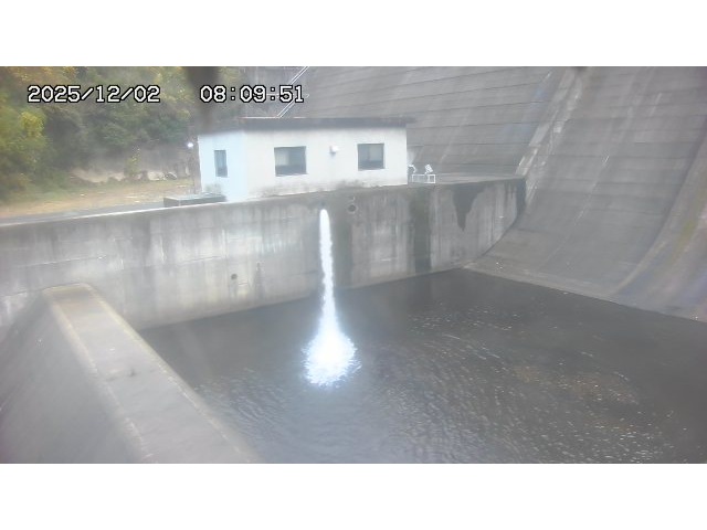 東郷ダム１（下流）2025/12/02 11:30:00