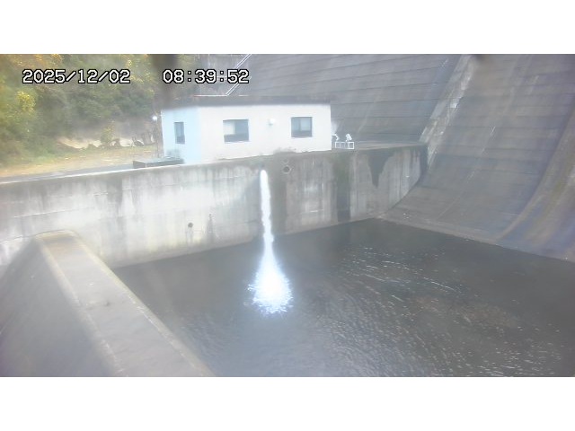 東郷ダム１（下流）2025/12/02 11:30:00