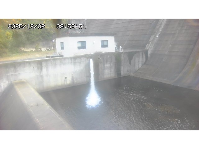 東郷ダム１（下流）2025/12/02 11:30:00