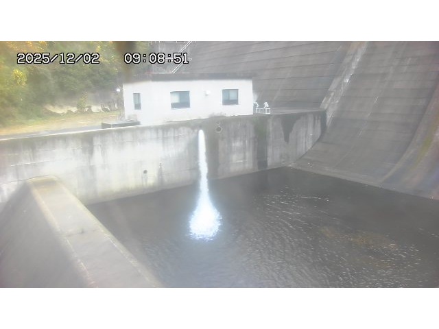 東郷ダム１（下流）2025/12/02 11:30:00