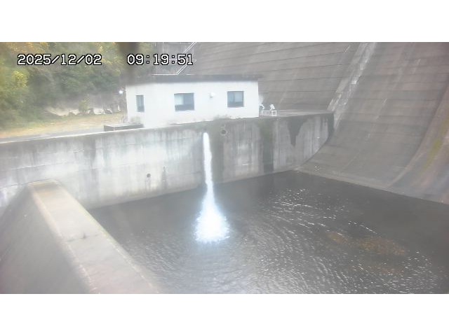 東郷ダム１（下流）2025/12/02 11:30:00
