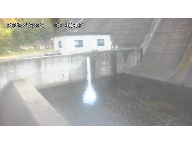 東郷ダム１（下流）2025/12/02 11:30:00