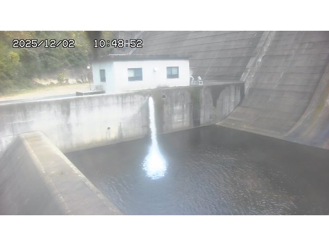 東郷ダム１（下流）2025/12/02 11:30:00