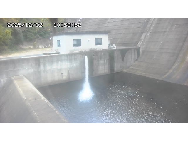 東郷ダム１（下流）2025/12/02 11:30:00
