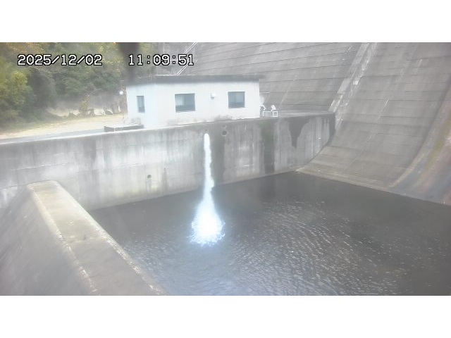 東郷ダム１（下流）2025/12/02 11:30:00