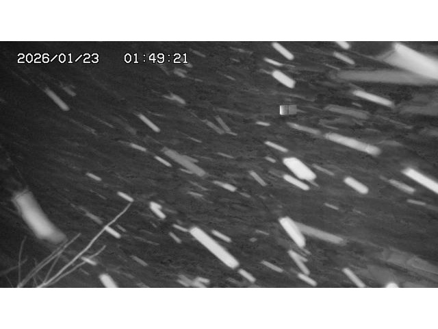 東郷ダム２（上流）2026/01/24 2:20:00