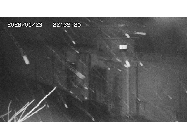 東郷ダム２（上流）2026/01/24 2:20:00