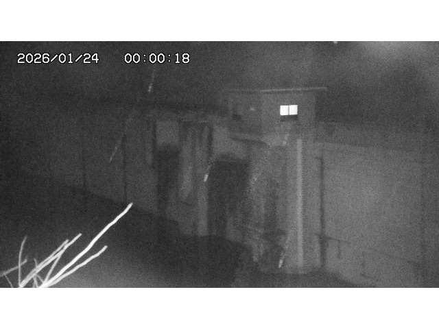 東郷ダム２（上流）2026/01/24 2:20:00