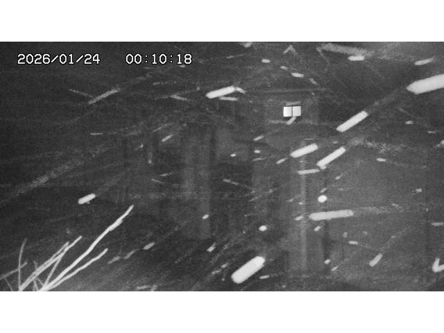 東郷ダム２（上流）2026/01/24 2:20:00