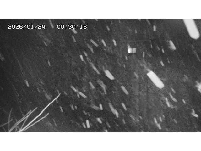 東郷ダム２（上流）2026/01/24 2:20:00