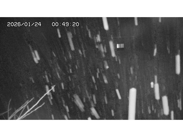 東郷ダム２（上流）2026/01/24 2:20:00