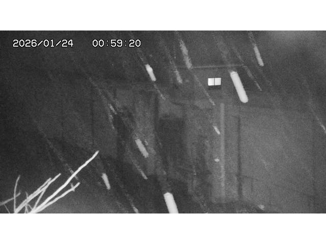 東郷ダム２（上流）2026/01/24 2:20:00