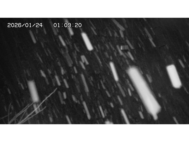 東郷ダム２（上流）2026/01/24 2:20:00