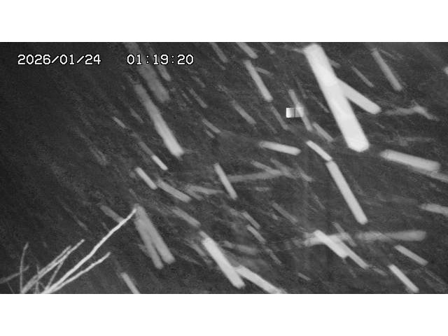 東郷ダム２（上流）2026/01/24 2:20:00