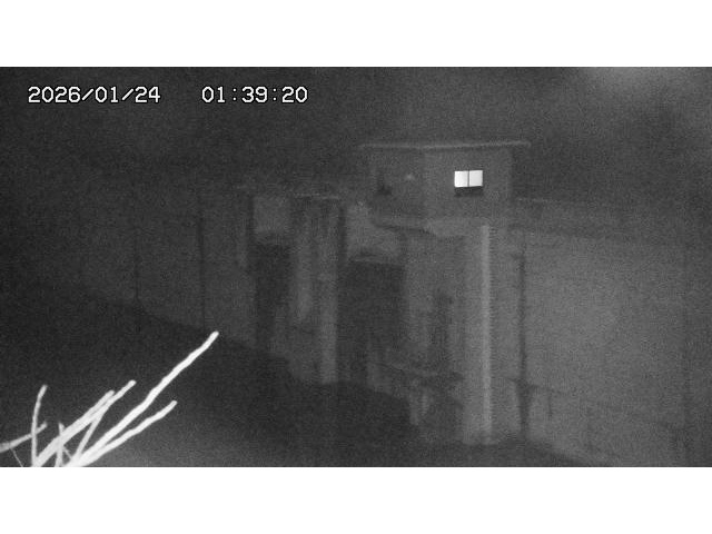 東郷ダム２（上流）2026/01/24 2:20:00