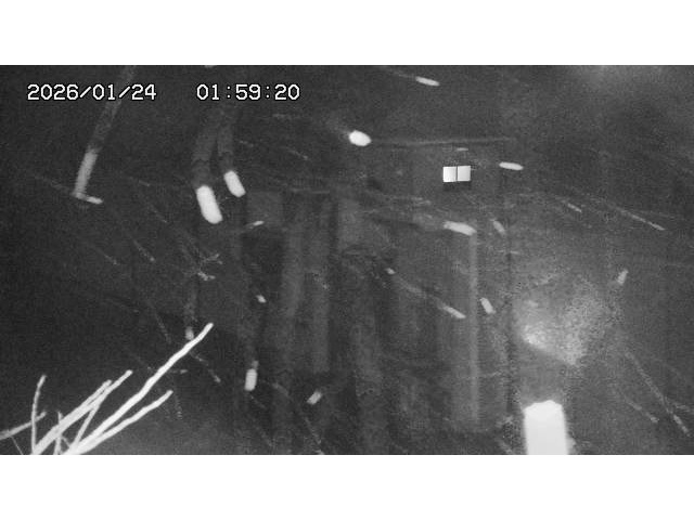 東郷ダム２（上流）2026/01/24 2:20:00