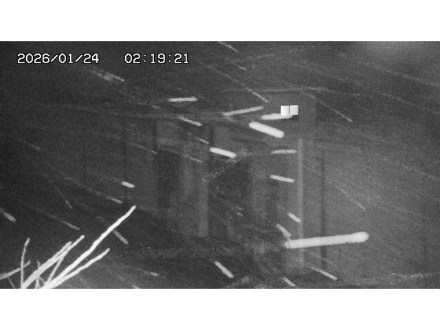 東郷ダム２（上流）2026/01/24 2:20:00