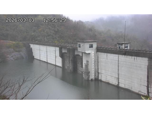 東郷ダム２（上流）2026/03/04 12:40
