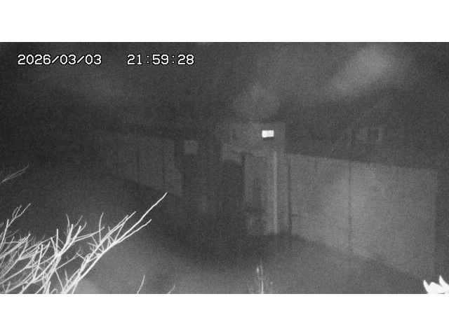 東郷ダム２（上流）2026/03/04 12:40