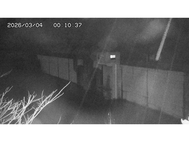 東郷ダム２（上流）2026/03/04 12:40