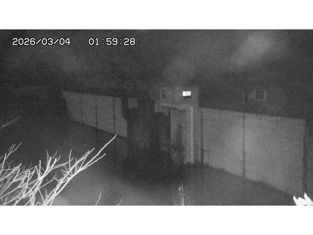 東郷ダム２（上流）2026/03/04 12:40