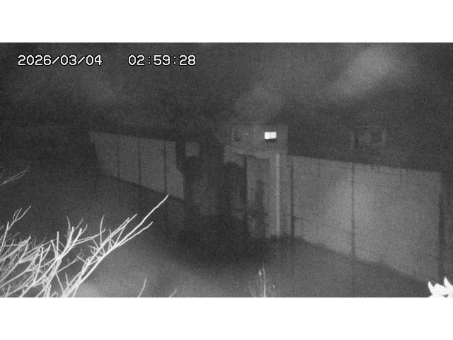 東郷ダム２（上流）2026/03/04 12:40