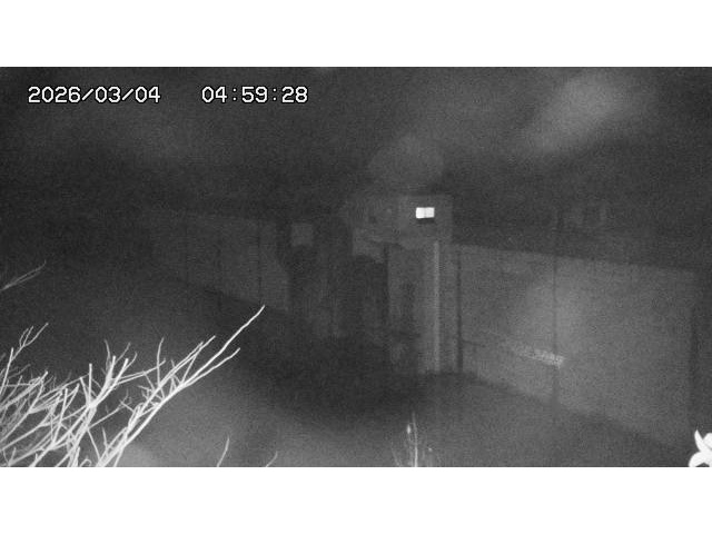 東郷ダム２（上流）2026/03/04 12:40
