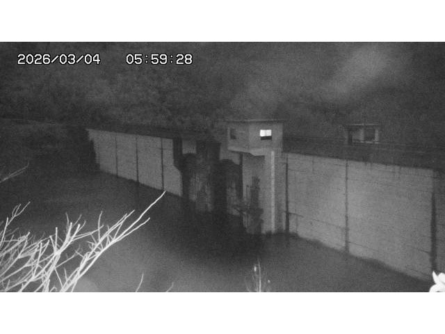東郷ダム２（上流）2026/03/04 12:40