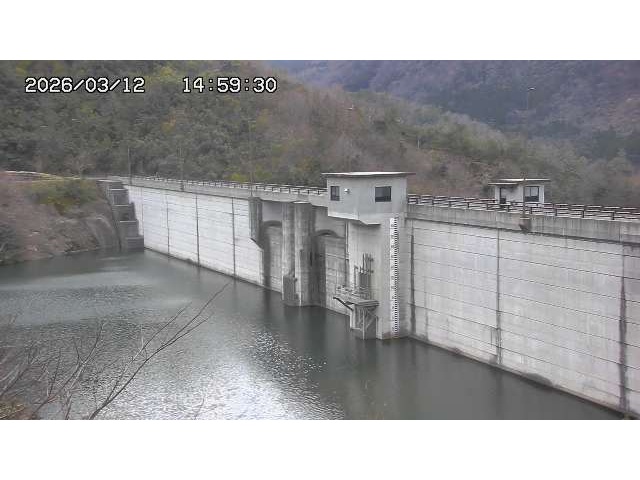 東郷ダム2026/03/13 13:50:00
