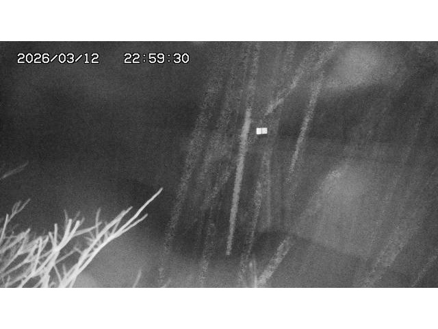 東郷ダム2026/03/13 13:50:00