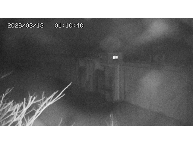 東郷ダム2026/03/13 13:50:00