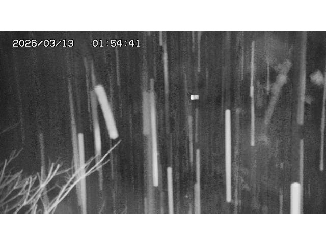 東郷ダム2026/03/13 13:50:00