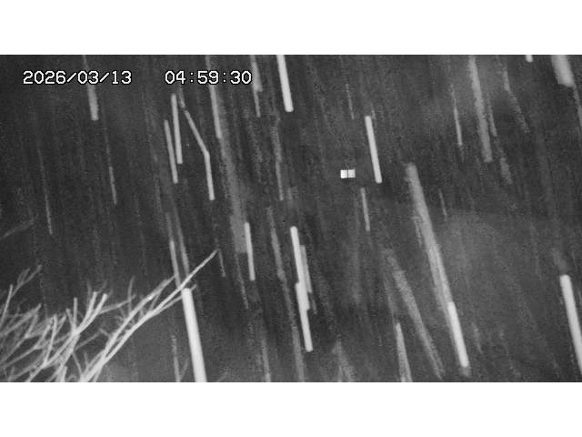 東郷ダム2026/03/13 13:50:00