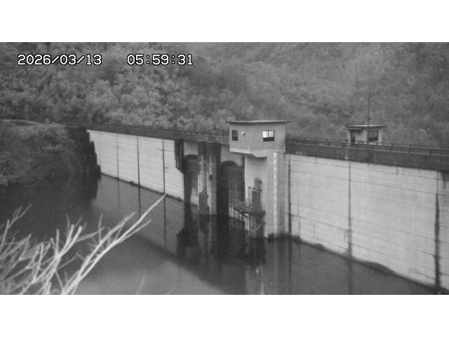 東郷ダム2026/03/13 13:50:00