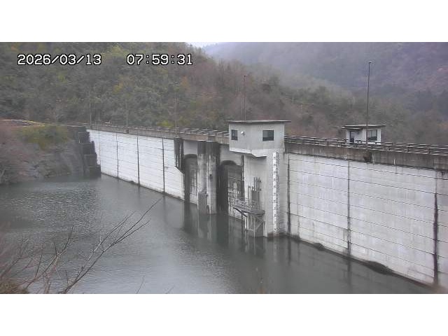 東郷ダム2026/03/13 13:50:00