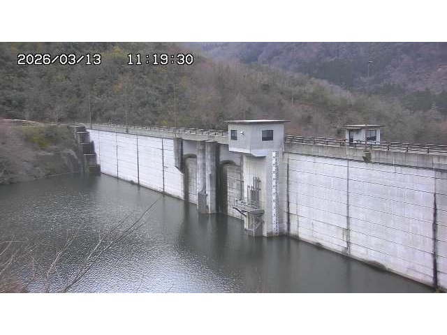 東郷ダム2026/03/13 13:50:00