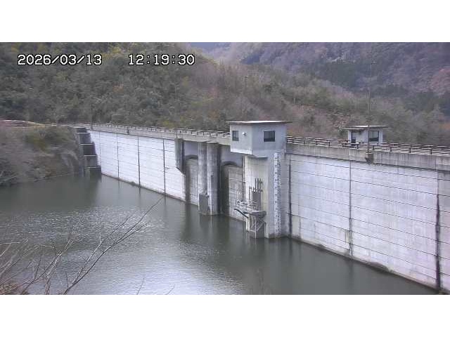 東郷ダム2026/03/13 13:50:00