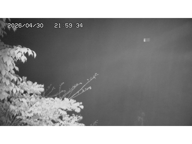東郷ダム2026/05/01 14:10:00