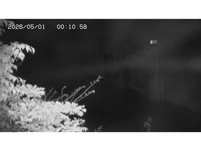 東郷ダム2026/05/01 14:10:00
