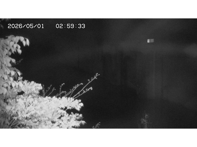東郷ダム2026/05/01 14:10:00