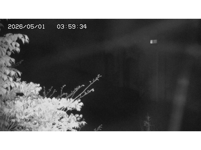 東郷ダム2026/05/01 14:10:00
