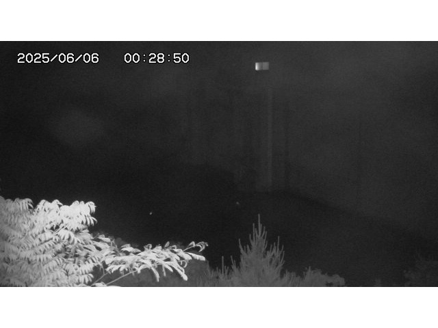 東郷ダム２（上流）2025/06/06 1:30:00