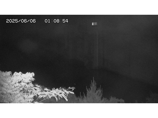東郷ダム２（上流）2025/06/06 1:30:00
